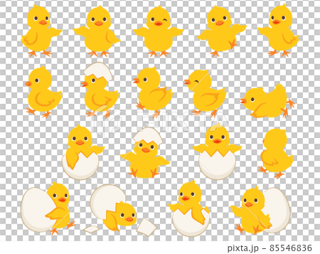 各種姿勢的小雞和雞蛋的插圖集 85546836