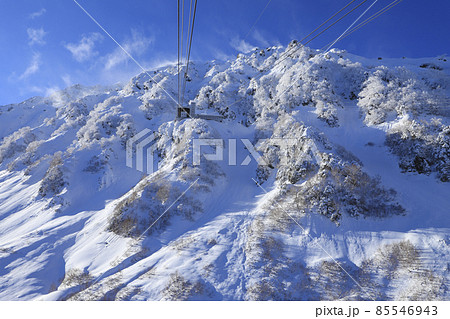 雪山の立山ロープウェイ　立山黒部アルペンルート 85546943