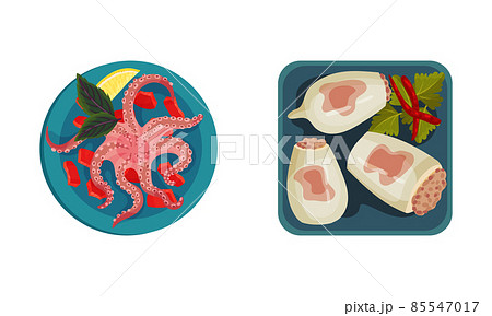 Stuffed Squid and Boiled Octopus as Seafood Dish Above View Vector Set 85547017