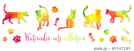 Set of colorful rainbow silhouettes of watercolor cat and paws isolated on white background. Set of colorful rainbow silhouettes of watercolor cat and paws isolated on white background. 85547285
