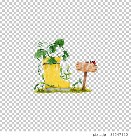 watercolor illustration of a spring vegetable garden with a rubber boot and wooden signpost (freehand) watercolor illustration of a spring vegetable garden with a rubber boot and wooden signpost (freehand) 85547520