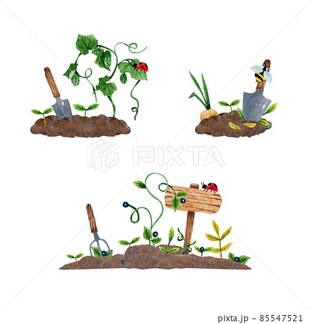 watercolor illustration of a spring vegetable garden (freehand) watercolor illustration of a spring vegetable garden (freehand) 85547521