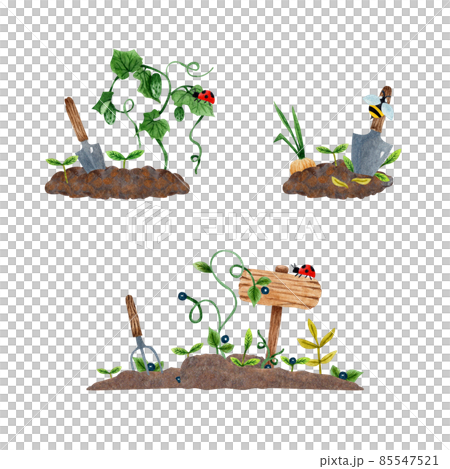 watercolor illustration of a spring vegetable garden (freehand) watercolor illustration of a spring vegetable garden (freehand) 85547521