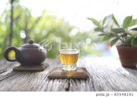 Tea glass cup and clay pot with hoya plant Tea glass cup and clay pot with hoya plant 85548191