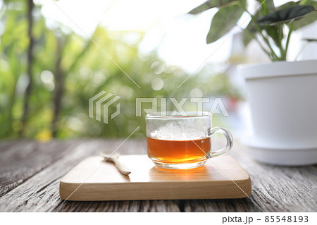 Tea in glass cup with alocasia silver dragon plant 85548193