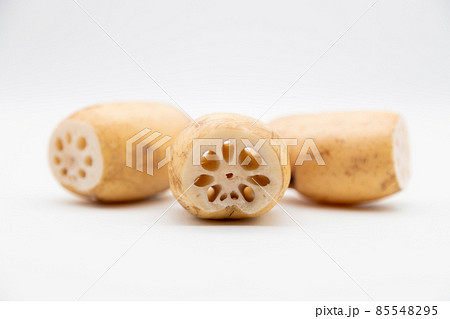 蓮根 穴の開いた根菜 蓮根 穴の開いた根菜 85548295