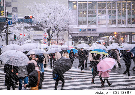 日本の東京都市景観 6波突入！…全国4千人超、驚愕沖縄5波超え！…渋谷は大雪、ハチ公にも雪が…＝6日 85548397