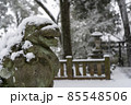 東京都杉並区和泉）雪の中の和泉熊野神社の狛犬 85548506