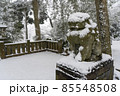 東京都杉並区和泉）雪の中の和泉熊野神社の狛犬 85548508