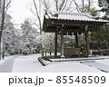 東京都杉並区和泉）雪の中の和泉熊野神社の手水舎 85548509