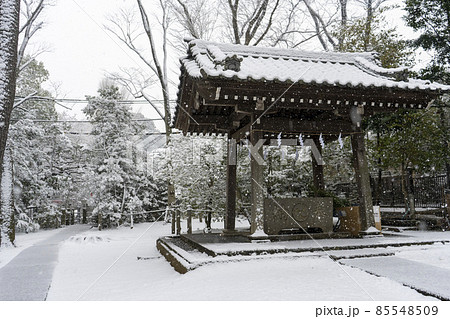 東京都杉並区和泉）雪の中の和泉熊野神社の手水舎 85548509