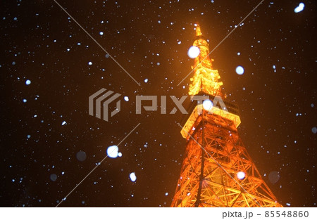 牡丹雪の舞う東京タワー 85548860