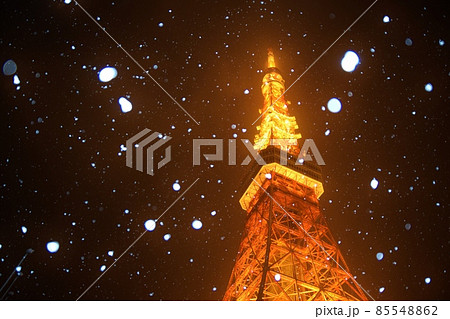 牡丹雪の舞う東京タワー 85548862