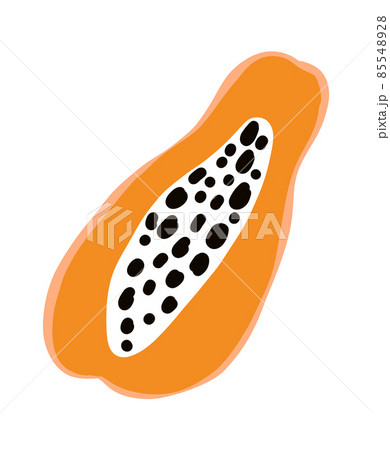 Papaya fruit. Tropical doodle agriculture. Vector exotic food icon 85548928