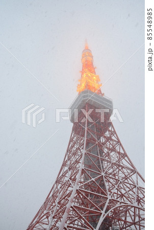 牡丹雪の舞う東京タワー 牡丹雪の舞う東京タワー 85548985