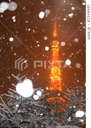 牡丹雪の舞う東京タワー 85549085