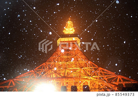 牡丹雪の舞う東京タワー 85549373