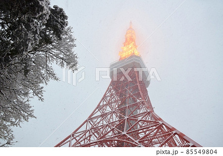 牡丹雪の舞う東京タワー 牡丹雪の舞う東京タワー 85549804