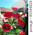 花 85549828