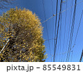空 85549831