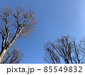 空 85549832