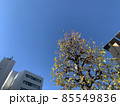 空 85549836