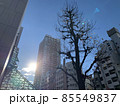 町 85549837