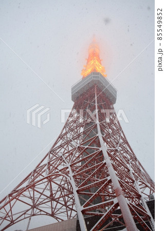 牡丹雪の舞う東京タワー 85549852