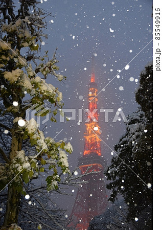 牡丹雪の舞う東京タワー 牡丹雪の舞う東京タワー 85549916