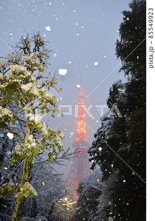 牡丹雪の舞う東京タワー 85549923