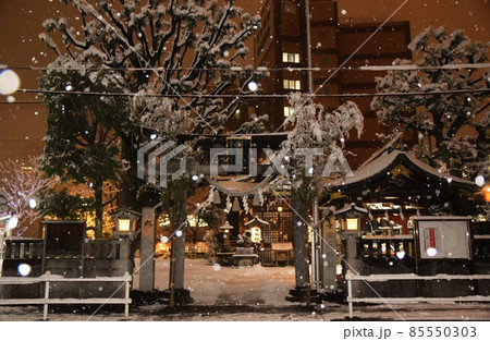 牡丹雪の舞う幸稲荷神社　東京 85550303