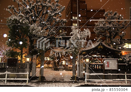 牡丹雪の舞う幸稲荷神社　東京 85550304