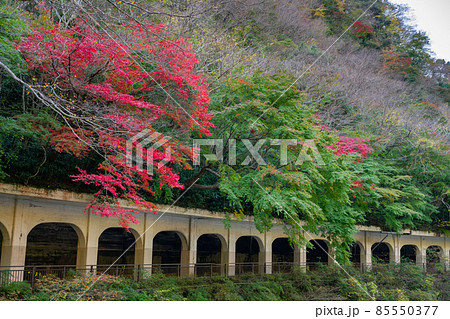 神奈川県足柄下群箱根町　函嶺洞門 85550377