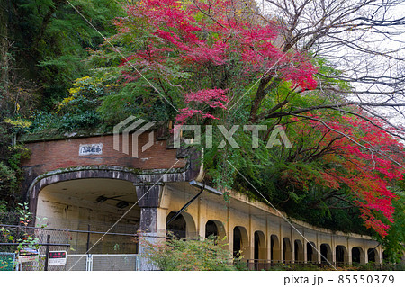 神奈川県足柄下群箱根町 函嶺洞門 神奈川県足柄下群箱根町 函嶺洞門 85550379