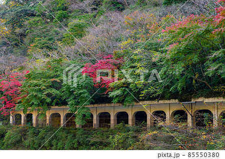 神奈川県足柄下群箱根町 函嶺洞門 神奈川県足柄下群箱根町 函嶺洞門 85550380