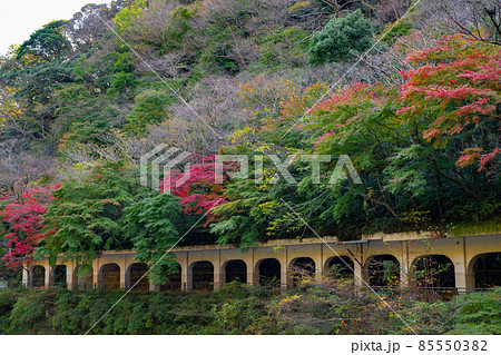 神奈川県足柄下群箱根町　函嶺洞門 85550382