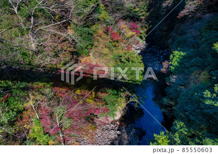 神奈川県足柄下郡箱根町 早川渓谷 神奈川県足柄下郡箱根町 早川渓谷 85550603