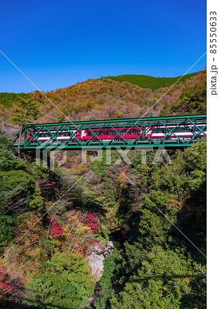 神奈川県足柄下郡箱根町　紅葉と出山鉄橋 85550633