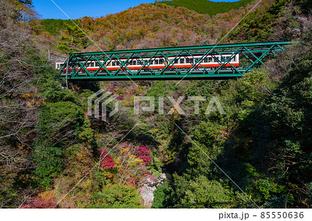 神奈川県足柄下郡箱根町　紅葉と出山鉄橋 85550636