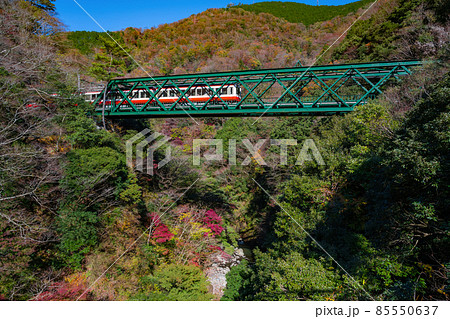 神奈川県足柄下郡箱根町 紅葉と出山鉄橋 神奈川県足柄下郡箱根町 紅葉と出山鉄橋 85550637