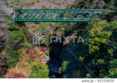 神奈川県足柄下郡箱根町　紅葉と出山鉄橋 85550639