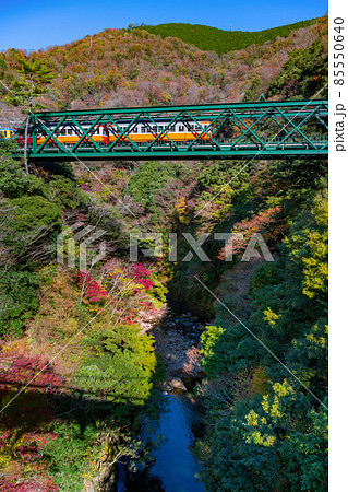 神奈川県足柄下郡箱根町　紅葉と出山鉄橋 85550640