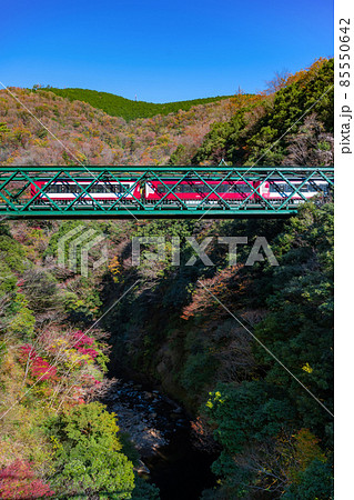神奈川県足柄下郡箱根町　紅葉と出山鉄橋 85550642