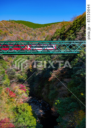 神奈川県足柄下郡箱根町　紅葉と出山鉄橋 85550644