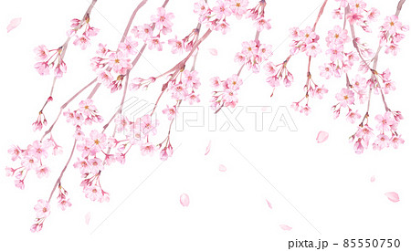 華やか枝垂れ桜　原画　ハンドメイド　桜の絵　春　キラキラ　ピンク