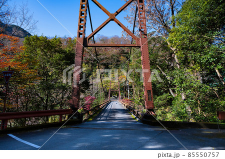 神奈川県足柄下郡箱根町　紅葉シーズンの塔の澤橋 85550757
