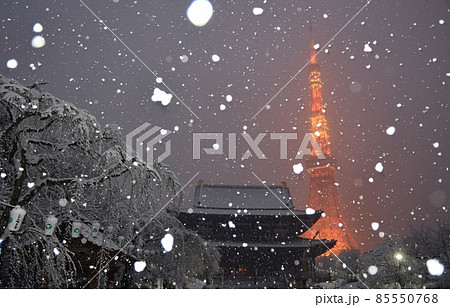雪の中の増上寺と東京タワー 雪の中の増上寺と東京タワー 85550768