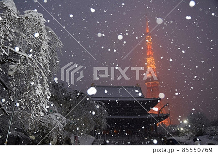 雪の中の増上寺と東京タワー 雪の中の増上寺と東京タワー 85550769