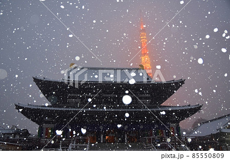雪の中の増上寺と東京タワー 85550809