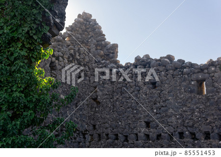 ruins of the castle are entwined with ivy 85551453